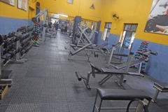 Academia