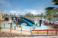Parque da baleia