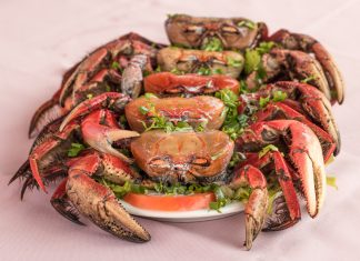 Começa o período de Defeso do Caranguejo