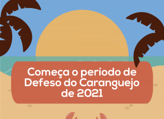 Começa o período de Defeso do Caranguejo de 2021
