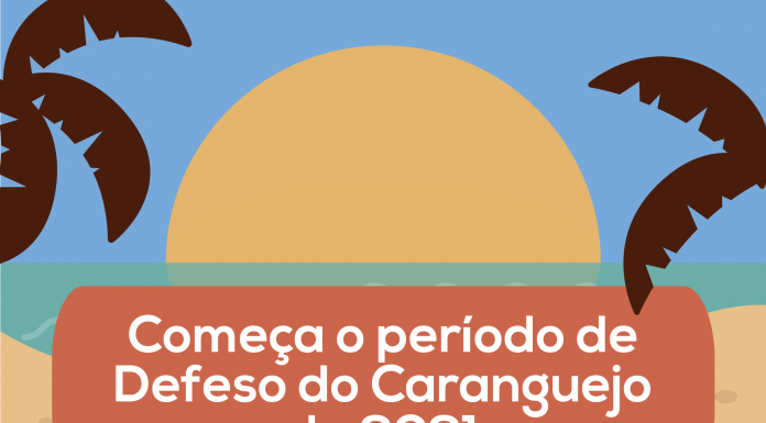 Começa o período de Defeso do Caranguejo de 2021