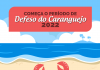 Defeso do Caranguejo: confira as datas