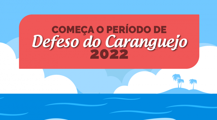 Defeso do Caranguejo: confira as datas