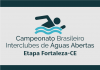 Vem aí o Campeonato Brasileiro Interclubes de Águas Abertas!